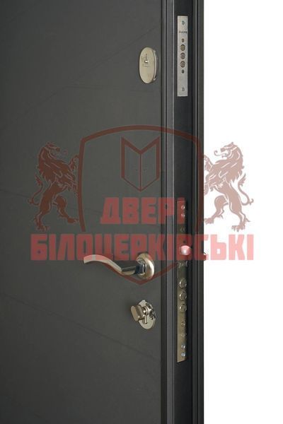 Модель LOFT NEW 960х2050 6012-3 фото